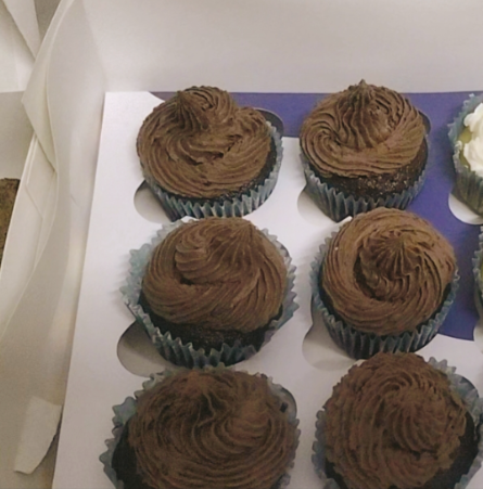 Chocolate Frosting Cupcakes